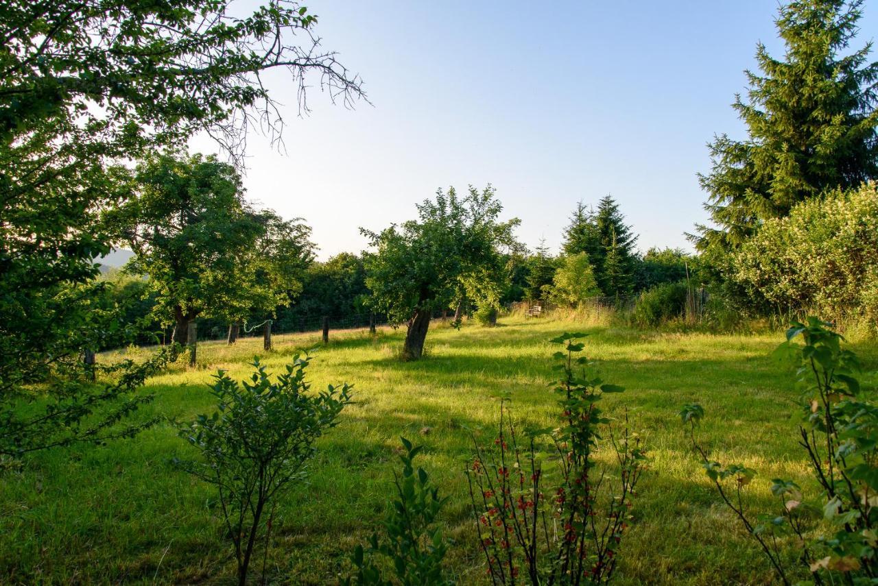 Altendorfer Vorwerk - Ferienapartments Zewnętrze zdjęcie