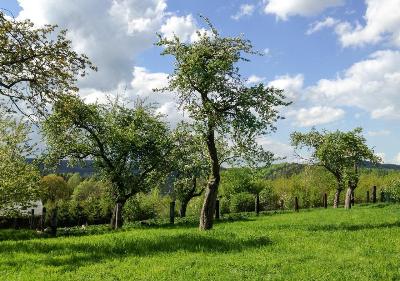 Altendorfer Vorwerk - Ferienapartments Zewnętrze zdjęcie
